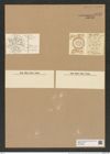 Actinogonium septenarium Ehr. (de-Toni-Nr.: Genus 244, Species 5735) Zeichnungen Sammlung Grunow Nr. 9735 (NHMW-BOT-W0379684)